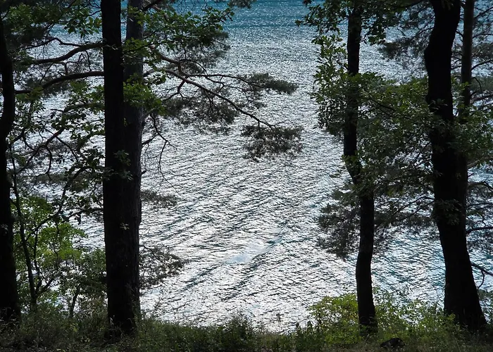 게스트하우스 Sofia Verdon Angles (Alpes-de-Haute-Provence)