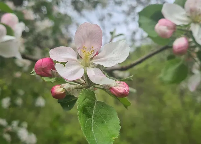 게스트하우스 Sofia Verdon